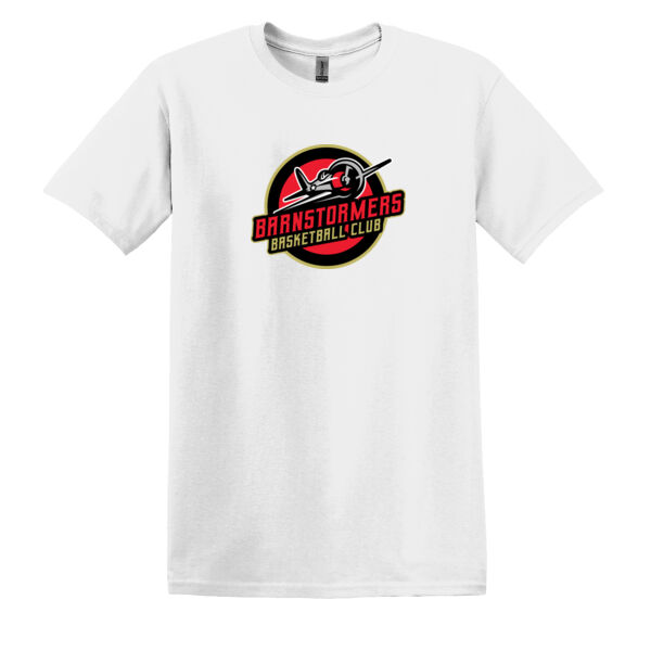 Barnstormers basketball Heavy Cotton 100% Cotton T Shirt Thumbnail